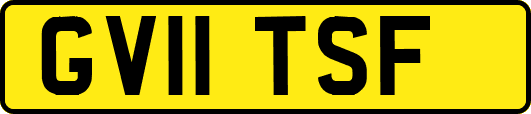 GV11TSF