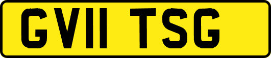 GV11TSG