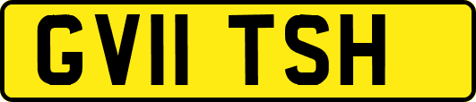 GV11TSH