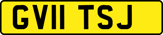 GV11TSJ