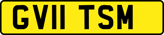 GV11TSM