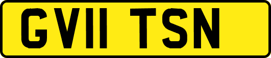 GV11TSN