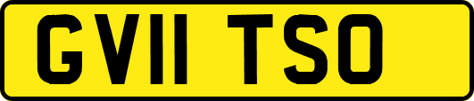 GV11TSO