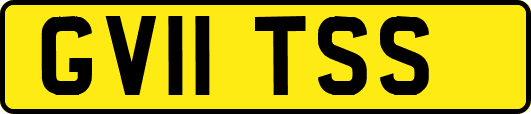GV11TSS