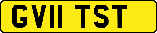 GV11TST