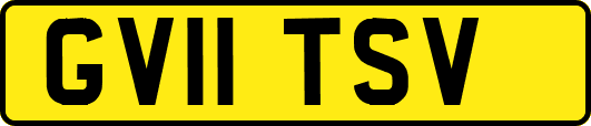 GV11TSV