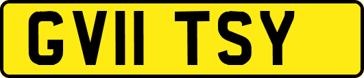 GV11TSY