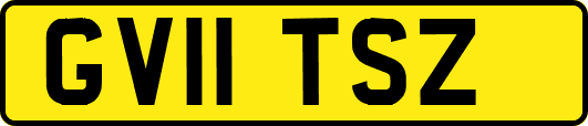 GV11TSZ