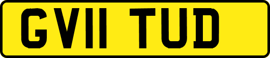 GV11TUD