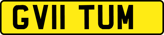 GV11TUM
