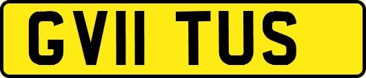 GV11TUS