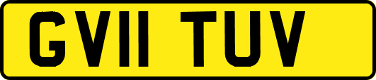 GV11TUV