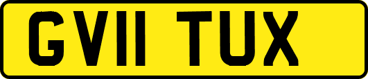 GV11TUX