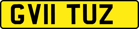 GV11TUZ