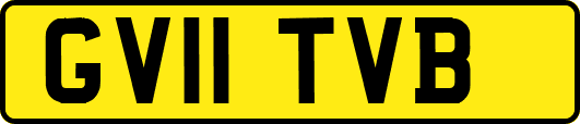 GV11TVB
