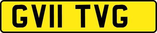 GV11TVG