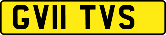 GV11TVS