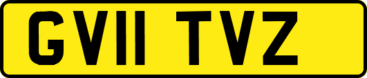 GV11TVZ