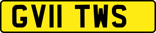 GV11TWS