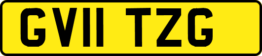 GV11TZG