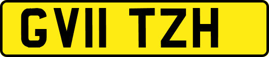 GV11TZH