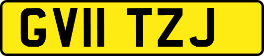 GV11TZJ