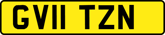 GV11TZN