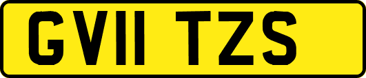 GV11TZS