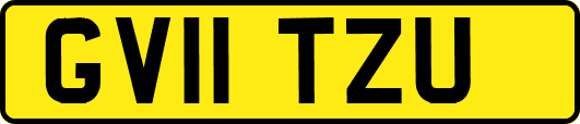 GV11TZU