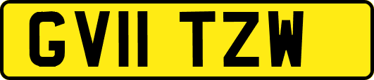 GV11TZW