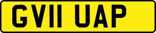 GV11UAP
