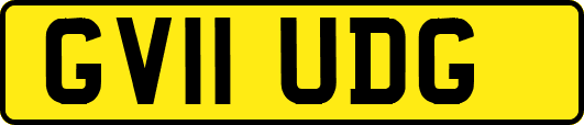 GV11UDG
