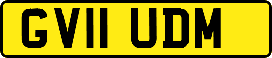 GV11UDM