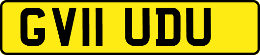 GV11UDU