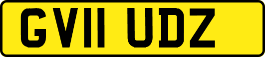 GV11UDZ