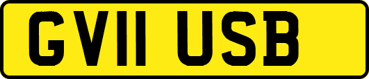 GV11USB