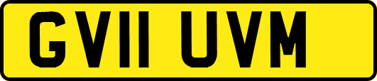 GV11UVM