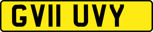 GV11UVY