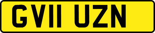 GV11UZN