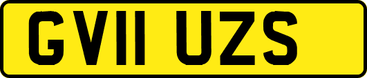 GV11UZS