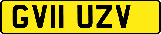GV11UZV