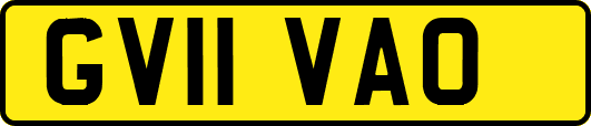 GV11VAO