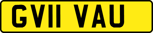 GV11VAU