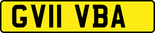 GV11VBA