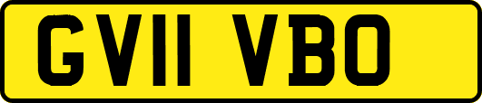 GV11VBO