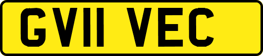GV11VEC