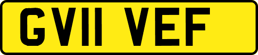 GV11VEF