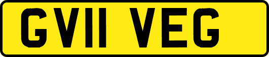 GV11VEG