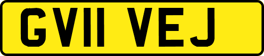 GV11VEJ