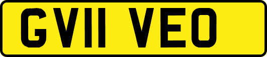 GV11VEO